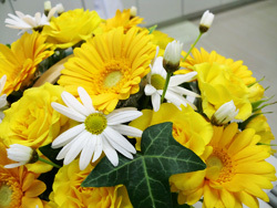 いよいよゴールデンウィークがやってきます。